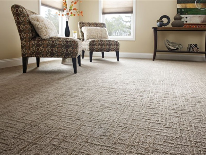 2901e937937330242197a4e461cb87f2.jpg_shaw_carpet_linear_design_pattern_carpet_living_room
